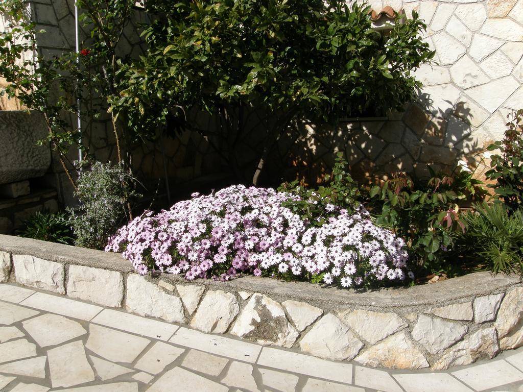 Eta Apartman Cres